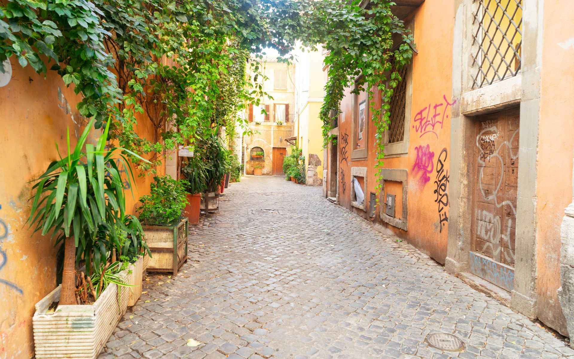 Quiet street in Trastevere