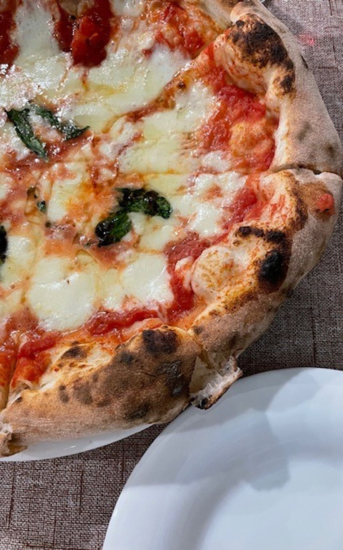 Gluten-Free Pizza and Olive Oil Tasting