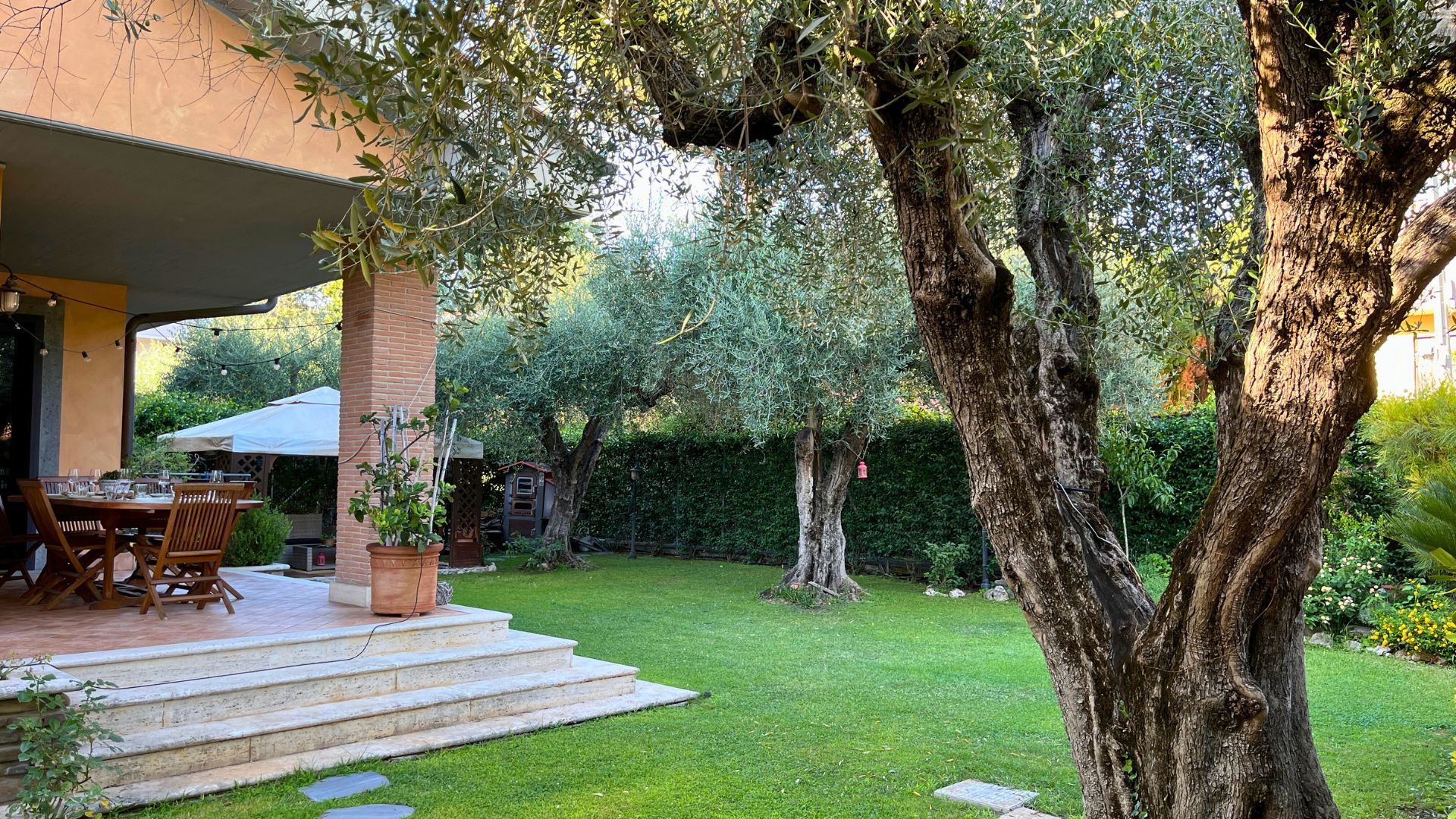 Villa with Olive Trees