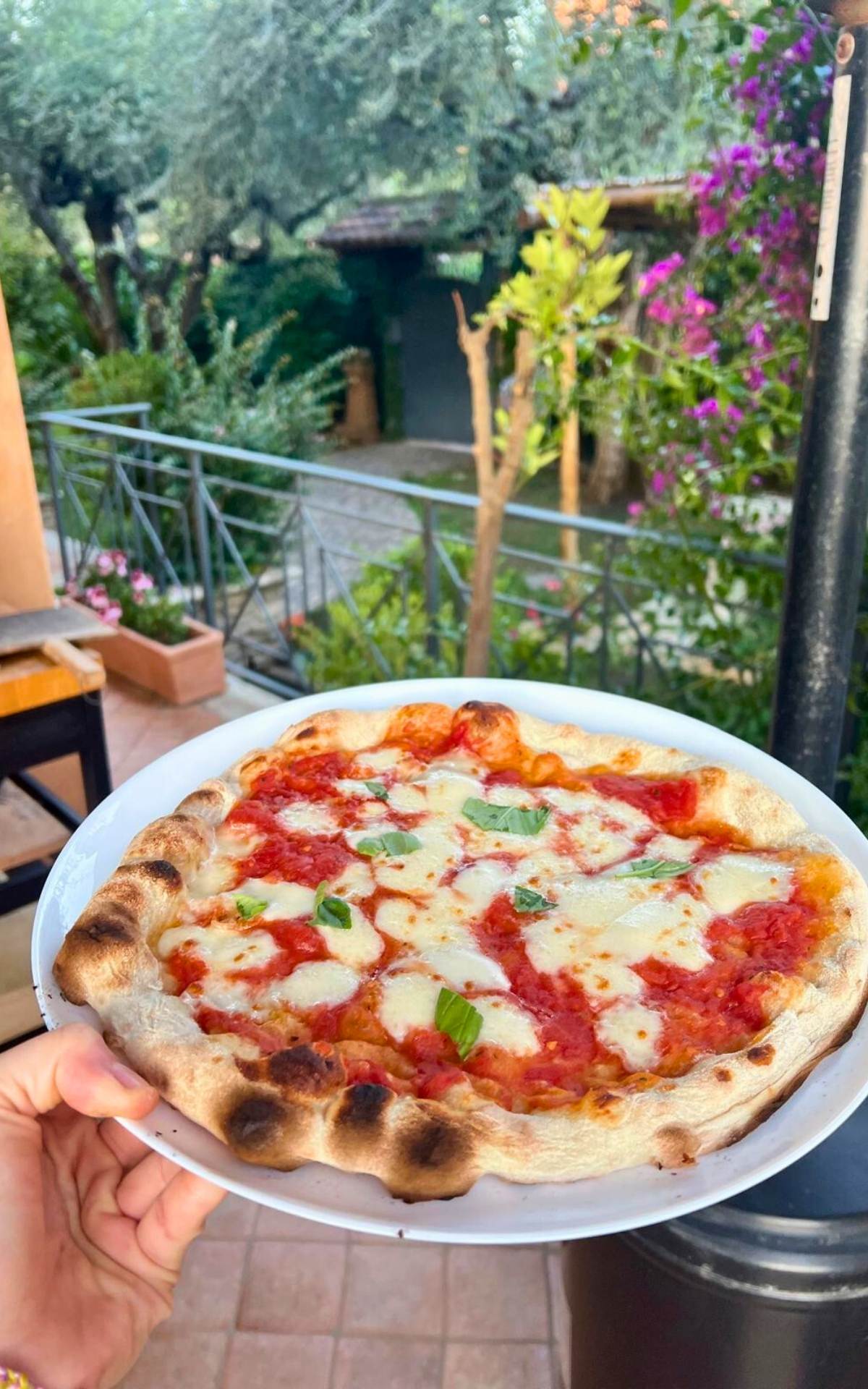 Pizza on plate