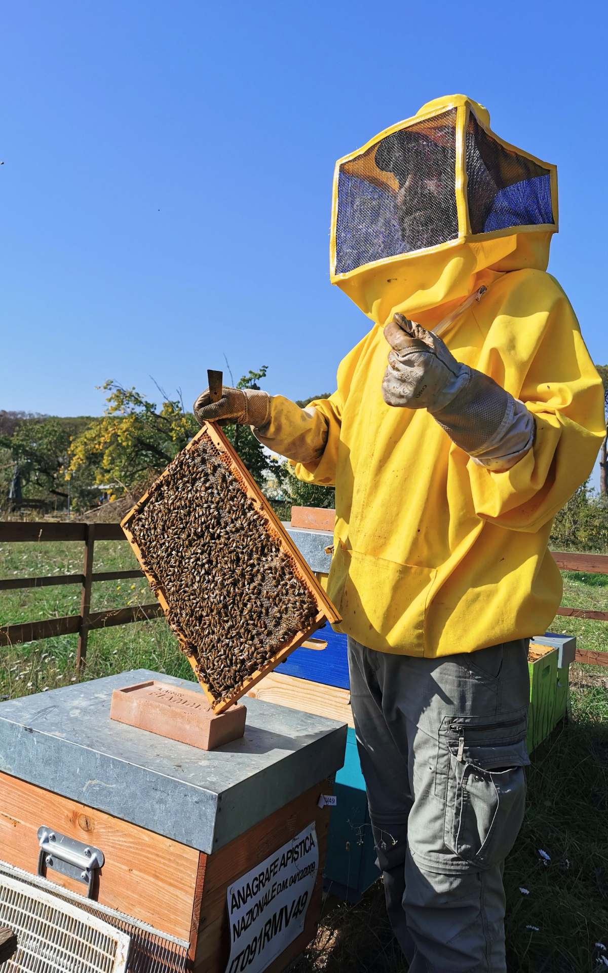 Visit to Local producers