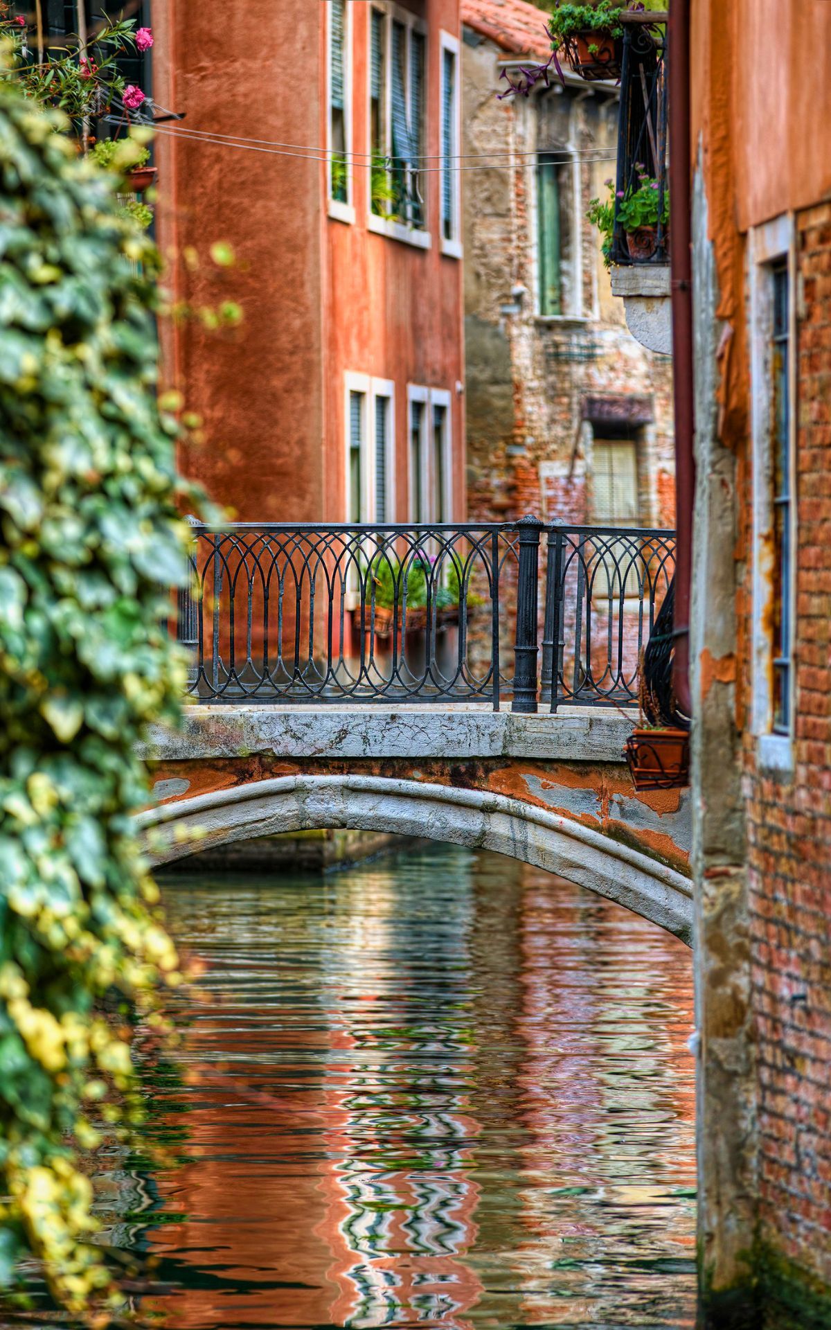 Food Tour In Venice